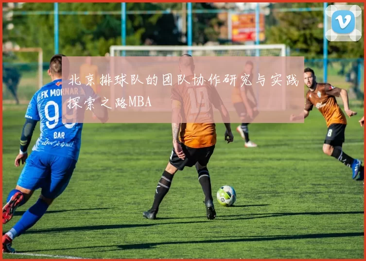 北京排球队的团队协作研究与实践探索之路MBA