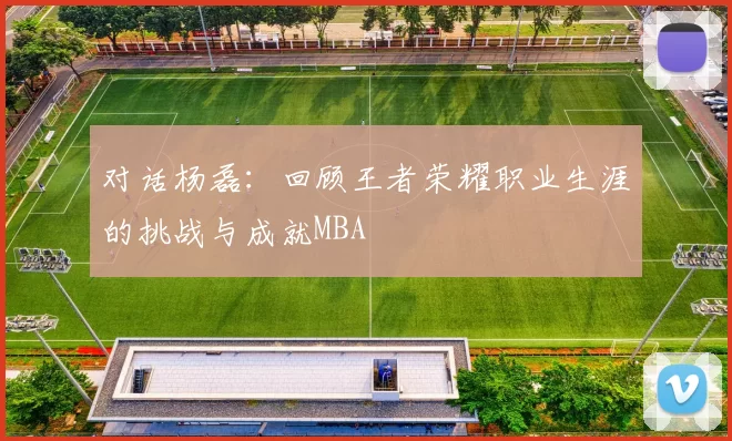 对话杨磊：回顾王者荣耀职业生涯的挑战与成就MBA