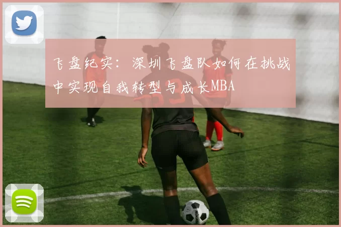 飞盘纪实：深圳飞盘队如何在挑战中实现自我转型与成长MBA