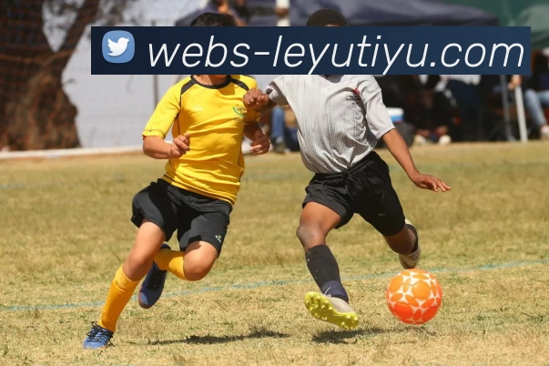 乐鱼网站APP 高清赛事图